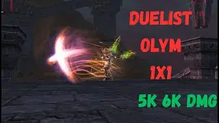 L2 AMERIKA H5 DUELIST INSANE DMG OLYM 1X1 (LXST) #1x1 #l2pvp #l2pvp #games