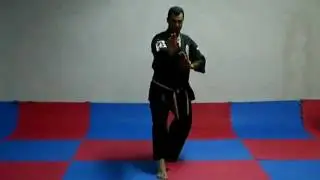 JYOUSAKU SHO KATA BY ARKIA ROBEEN - AGKAI - ISRAEL