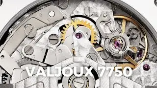 Il mio nuovo Valjoux 7750 in collezione, casa Movado