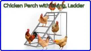 REVIEW (2025): Chicken Perch with Swing, Ladder. ESSENTIAL details.