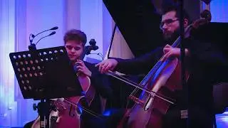 Milorad Marinković | Capriccio per archi | Ensemble Metamorphosis