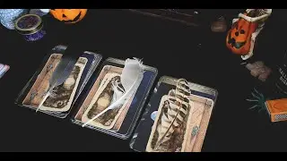 November Predictions & Expectations / Pick-A-Card Reading
