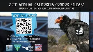 2020 California Condor Release hosted by The Peregrine Fund & Bureau of Land Management