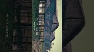 short  #agro #farming #farmingtraditions #countryhouse #chicken #farmhouse
