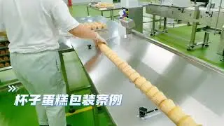RUIPUHUA 508S Cup cake multi-bag packing machine with tray;Cake flow pillow packing Wrapping machine