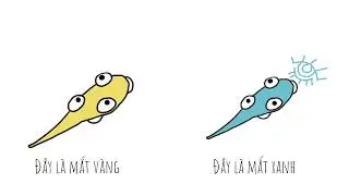 #huongdannewbie - Giới thiệu về Observer Ward