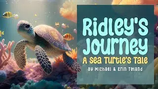 Beautiful Animated and Narrated Children's Book! Ridley the Baby Sea Turtle!!