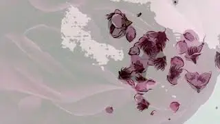 regenerative intimacies 1