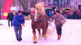 Węgierska Górka- XI Zawody Furmanów.