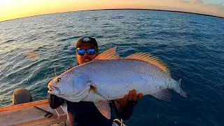 Ocean Addict Ep7 - Mulloway/Black Jewies: 2 day session on the pristine waters of Roebuck Bay - 1m+