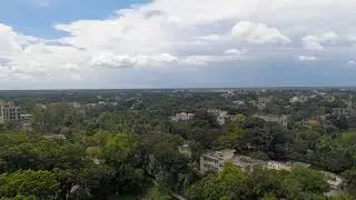Used Cars Prices USA 2024 / Car Prices Reduced but Waiting for sale USA