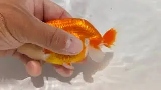 DSCF1889