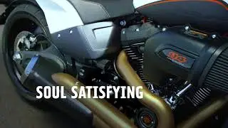 The all-new Harley-Davidson FXDR&trade; 114 2019