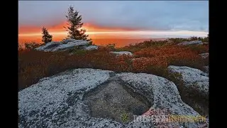 Careers in Conservation - Nature Photographer