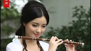 Beautiful Chinese Music Instrument Endlesslove 10 Different Songs