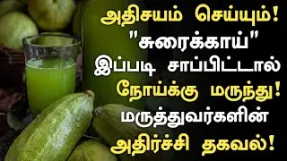 இனி மருந்தே வேண்டாம் சுரைக்காய் சாப்பிட்டால் உடலில் நடக்கும் ரகசிய மாற்றம் |‌Sorakkai Benefits Tamil