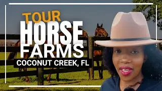 Horse Farms For Sale in Florida