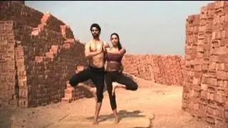 Yoga for Balance