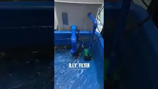 DIY FILTER (Trash Bin) #ranchu #fish #diy