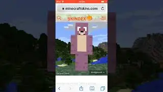 How to get skins from Skindex