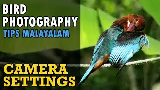 Bird Photography - Camera Settings for Sharp Focused Images  | Malayalam Tips