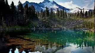 🌷Uncover Your Inner Peace with the Sound of Nature!