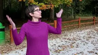 Looking for fall color at Homer Lake Forest Preserve