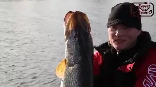 Repeat Offenders Fishing - Shallow Water Pike