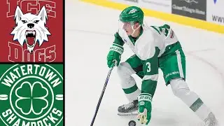 Watertown Shamrocks vs Fairbanks Ice Dogs | Game Highlights (9-13-2025) | NAHL Preseason