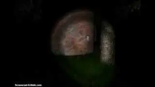 APPROACHING IT AT TURTLESPEED! (Let's Play Slender Part 4)