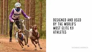 Best Dog Scooter In America - Kickbike