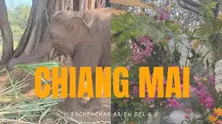 Elefanter, vattenfall och matlagning! | BACKPACKAR ASIEN Del 6