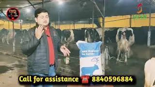Technical session in Bihar on Calf Rearing...with Serval Milk Replacer feeding.