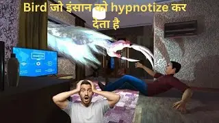 पक्षी जो इंसान के जैसा दिखता है|opium bird explained in Hindi|