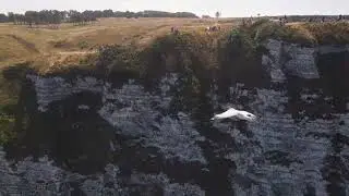 Cliffside View with Seagull and Distant Trees