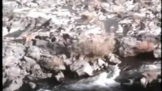 Opening To The Mighty Ducks 1993 VHS