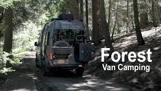 Кемпинг в густом лесу недалеко от Лос-Анджелеса в порядке очереди[Van Life, Калифорния, Campingfood]