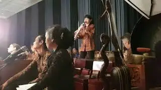 Widosari, Shadows of Java, wayang kulit