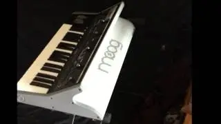 Bill Steinway Moog Reel