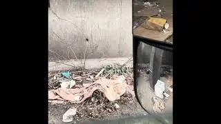 watch this before you start hauling waste. down side of hauling garbage/trash.