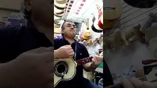 Tutorial de vihuela el son de la negra versi&oacute;n mariachi Vargas de Tecalitl&aacute;n WhatsApp 55 29 6877 55 