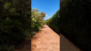 Hamilton Garden Short Tour | Must-Visit Spot in New Zealand.