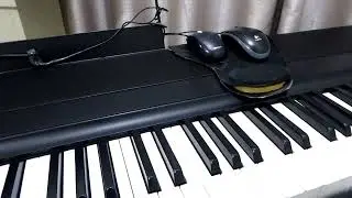 Audio Recording for Home Music Videos