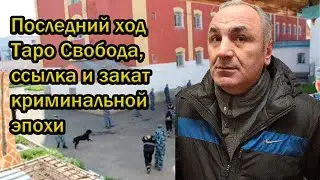 Последний ход Таро: Свобода, ссылка и закат криминальной эпохи