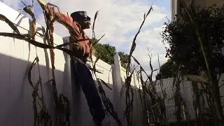 The Field of Screams | Nightmare House 2019: The Dark Harvest Haunt Build Day 6