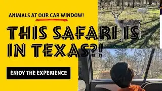 Aggieland Safari FAMILY VLOG - DriveThru Safari 🚗 + WalkThrough Zoo 🦒 Animal Adventure in Bryan, TX!