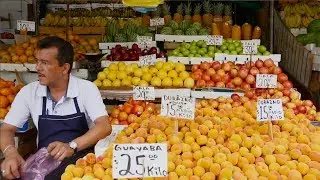 Market Research: Guadalajara, Mexico