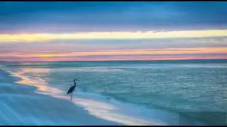 Music By Sri Chinmoy - Bell Chimes (Carilon)