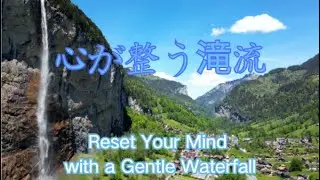 【Relax 癒しBGM】ASMR｜Gentle Water Stream for Healing & Calm｜bird songs|心が整う滝流｜自然音