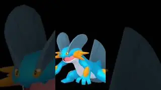 Sumpex Pok&eacute;mon 3.Generation